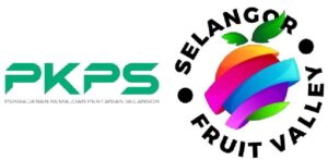 PKPS · Selangor Fruit Valley